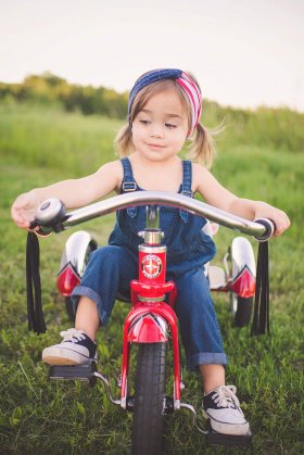 Schwinn Roadster Tricycle for Toddlers and Kids Classic Tricycle Red
