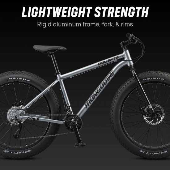 mongoose mountain bike grey