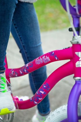 Dynacraft 20 inch Girls Rule Bike for Girls with Handlebar Bag Included