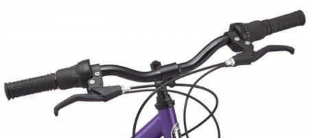 Roadmaster 24 Granite Peak Girls Mountain Bike Purple