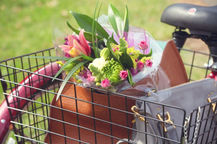 Schwinn Meridian Adult Tricycle, 26inch wheels, rear storage basket, Blue